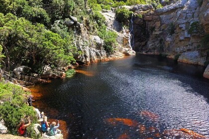 Magical Waterfalls & Rock Pools: Guided Hike in Cape Town