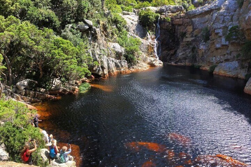 Magical Waterfalls and Rock Pool Adventure