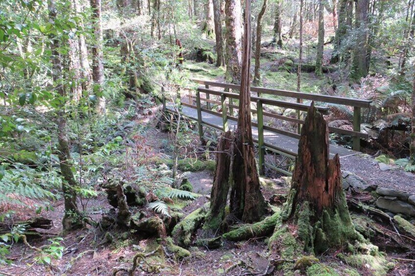 Scenic Tour in the Hastings Hinterland region from Port Macquarie