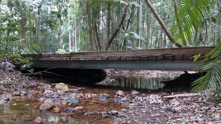 Scenic Tour in the Hastings Hinterland region from Port Macquarie