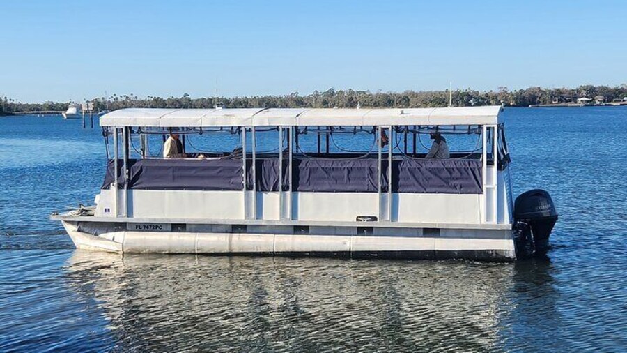 Afternoon Crystal River Ecological Boat Tour