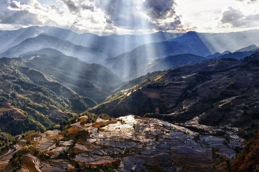 Rice Terraces