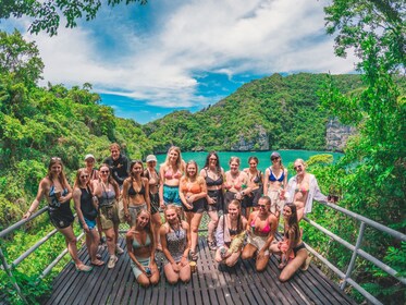 Tropical Bliss: Dive, Snorkel, and Hike in Koh Tao & Koh Nang Yuan