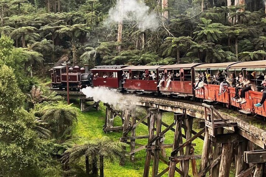 Puffing Billy and Penguin Parade's Nightly Wonders 