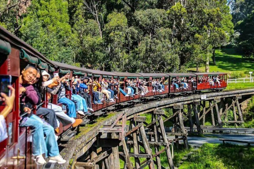 Puffing Billy and Penguin Parade's Nightly Wonders 