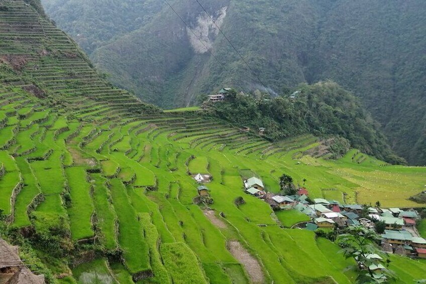 Batad rice terraces