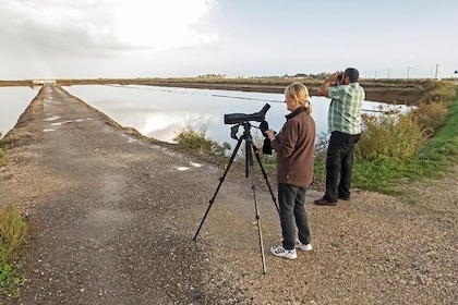 Ria Formosa Natural Park 8 days Tavira