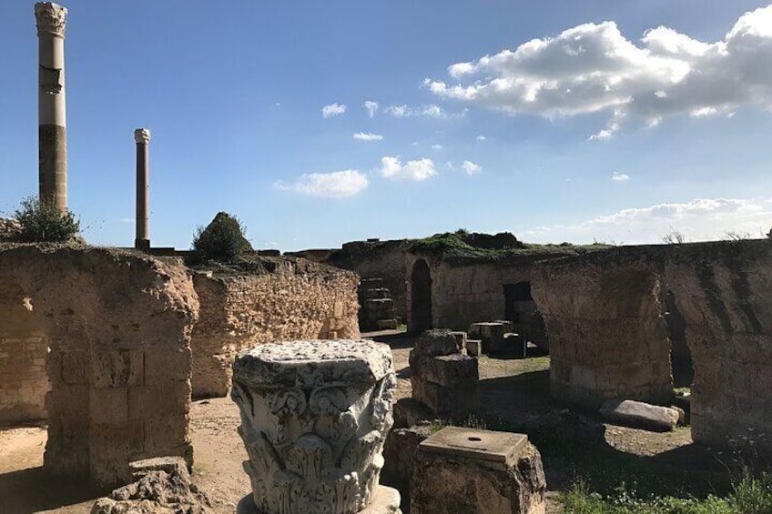 Carthage, Sidi Bou Said, Camel Tour from Hammamet and Sousse