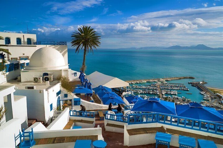 Carthage, Sidi Bou Said, Camel Tour from Hammamet and Sousse