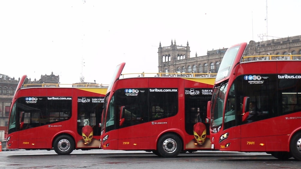 Turibus Hop-on Hop-off City Tour
