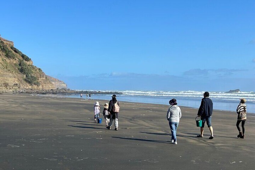 Private Muriwai Beach Car Tour in Auckland City