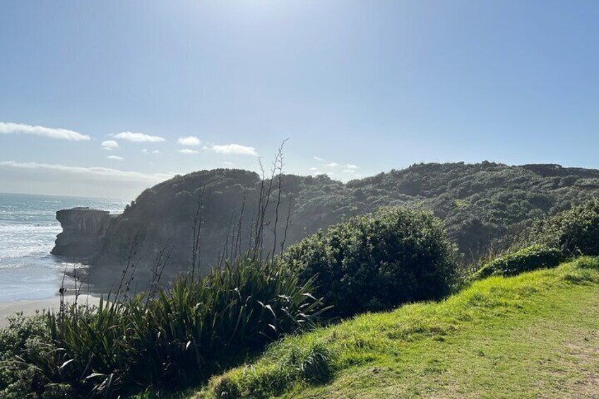 Private Muriwai Beach Car Tour in Auckland City