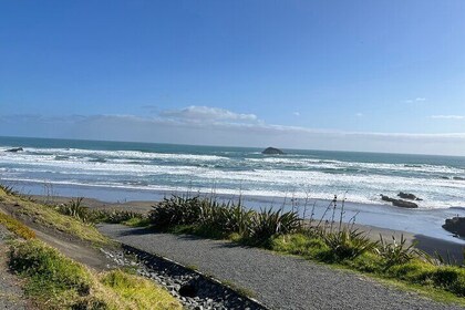 Private Auckland City Tour With Mt Eden Summit & Harbour Views