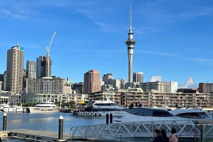 Auckland City Of Sails And Muriwai Beach Private Tour