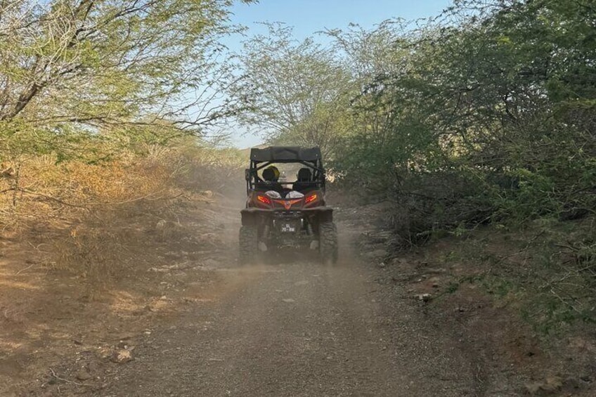 Buggy and Quad Tour with Local Guide on Sal Island