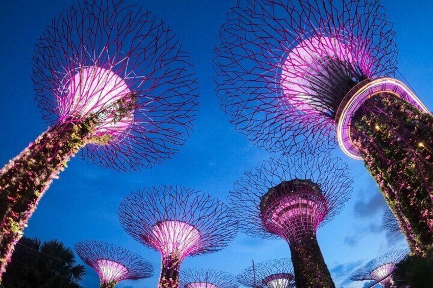 Supertree Grove