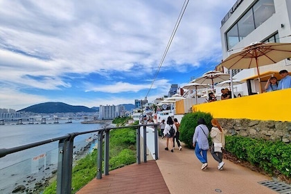 Cruise Layover to Busan City Private Car Day Tour
