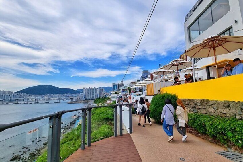 Cruise Layover to Busan City Private Car Day Tour 