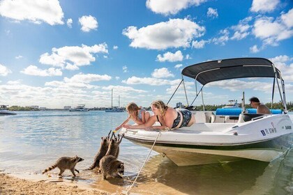 Raccoon Island in a Private Boat Tour