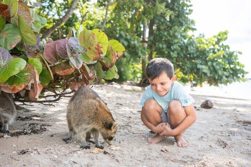 Raccoon Island in a Private Boat Tour