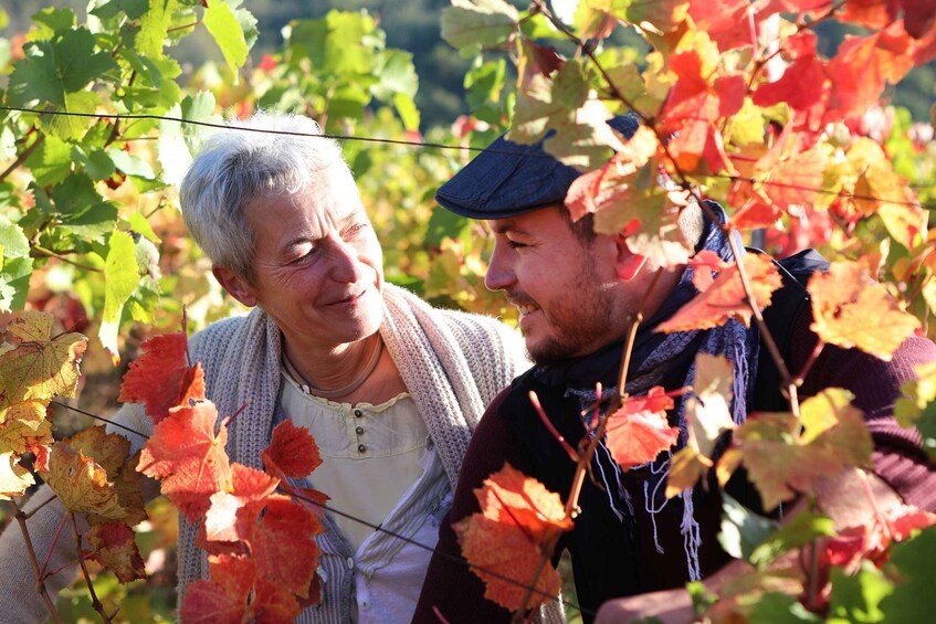 Picture 5 for Activity Alsace: Winery Tour & Tasting