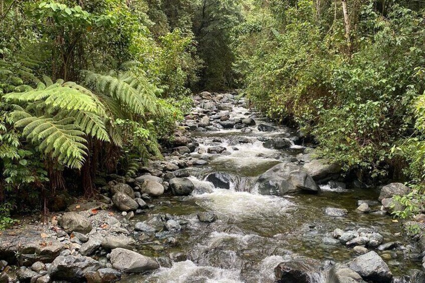 Pance Trail Experience on Wildlife and Scenic Views