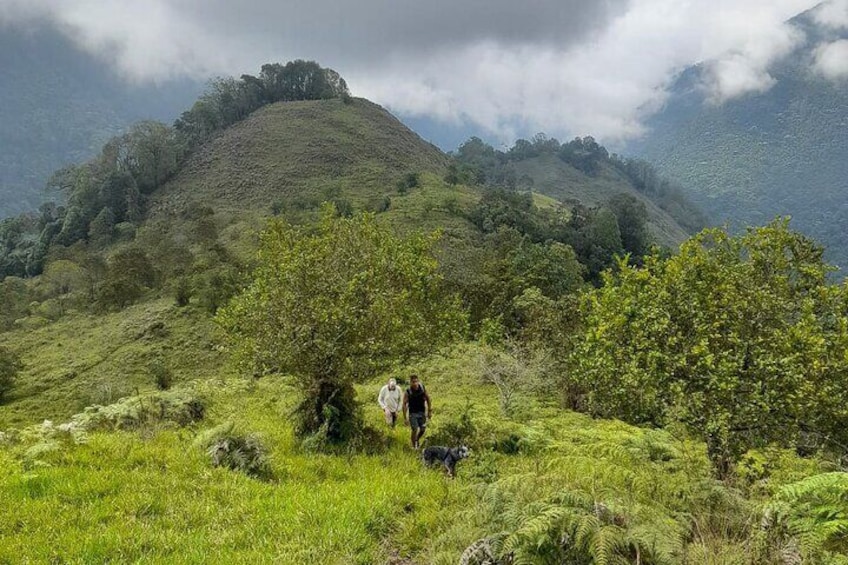 Pance Trail Experience on Wildlife and Scenic Views