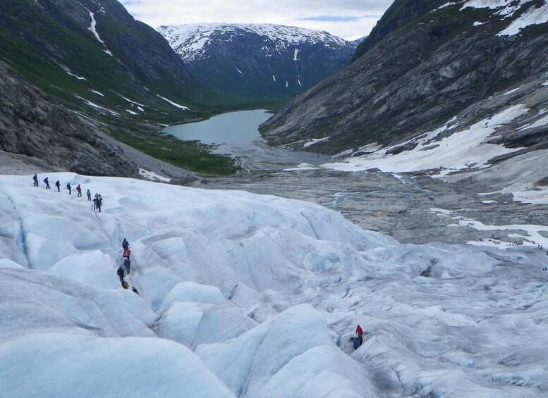 Picture 5 for Activity Nigards: Kayaking and Glacier Hike