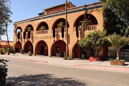 Todos Santos Day Trip from Cabo on Art History and Culinary