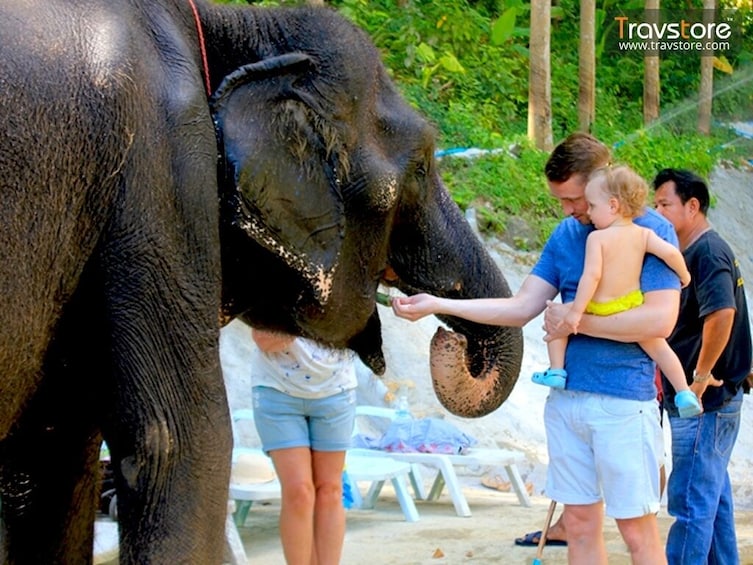 Half-Day Visit to Bo Phut Elephant Sanctuary in Koh Samui