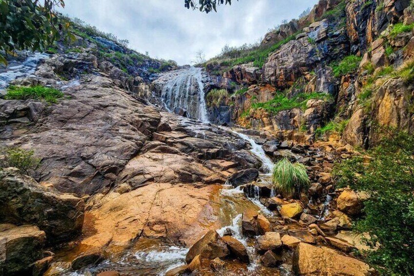 Darling Range: Waterfalls & Wildflower Immersion