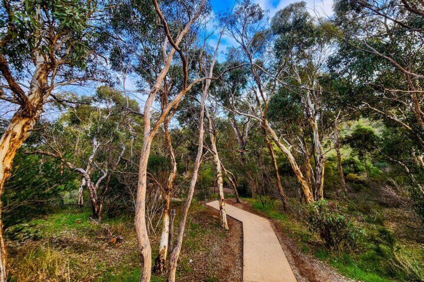 Darling Range: Waterfalls & Wildflower Immersion