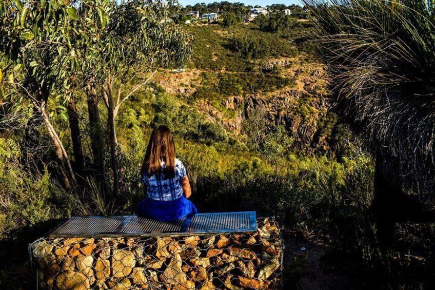 Darling Range: Waterfalls & Wildflower Immersion