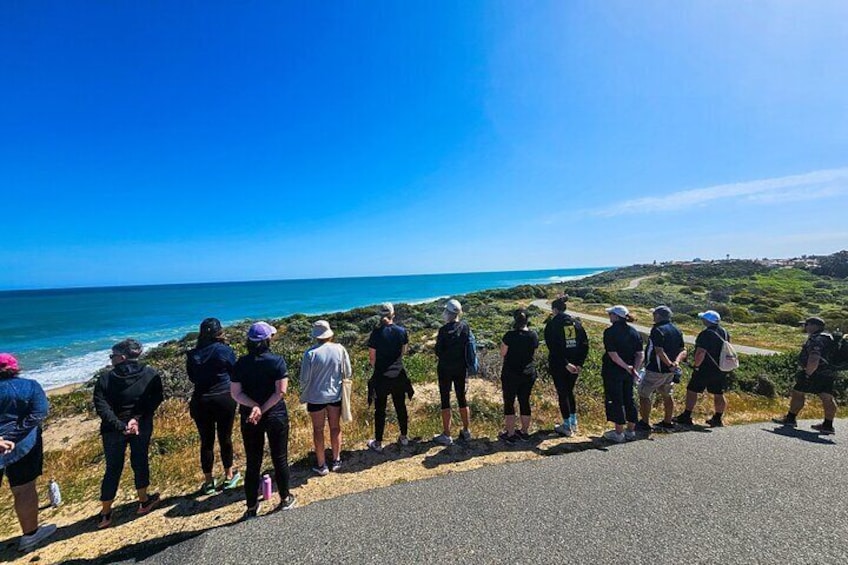 Seascapes Sunset and Grazing Coastal Walking Tour