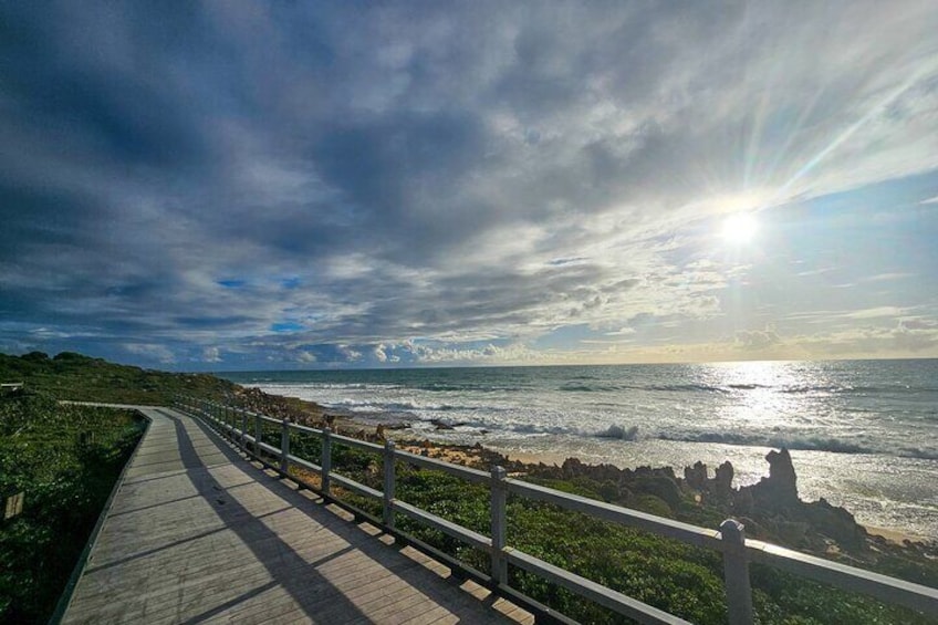 Seascapes Sunset and Grazing Coastal Walking Tour