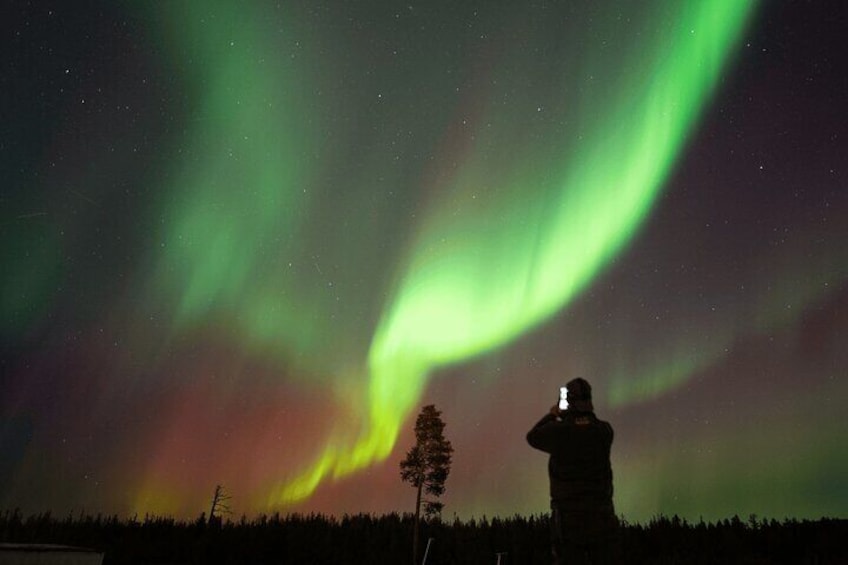 Aurora Hunting by Minivan in Ivalo, Inari or Saariselkä