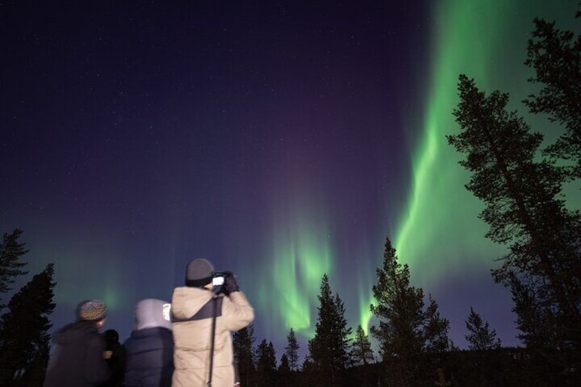 Aurora Hunting by Minivan in Ivalo, Inari or Saariselkä