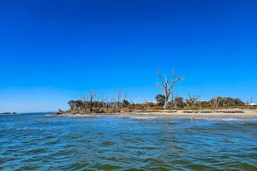 Estuary Paddle n Pint Kayaking Tour