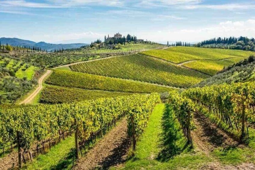 Siena and San Gimignano Private Tour with Wine Tasting