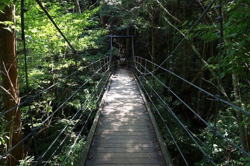 From Nagoya Hidden Gems of the Kiso Valley
