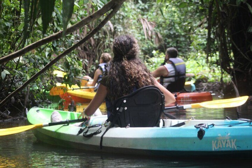 Kayak Tour in Tortuguero Canals with Tourist Guide