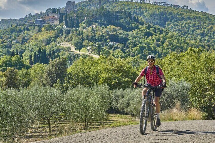 Florence and Fiesole Private eBike Tour