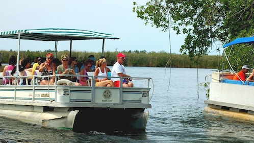 Black River Safari Cruise & YS Falls