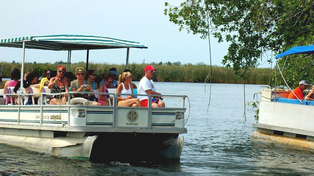 Black River Safari Cruise & YS Falls