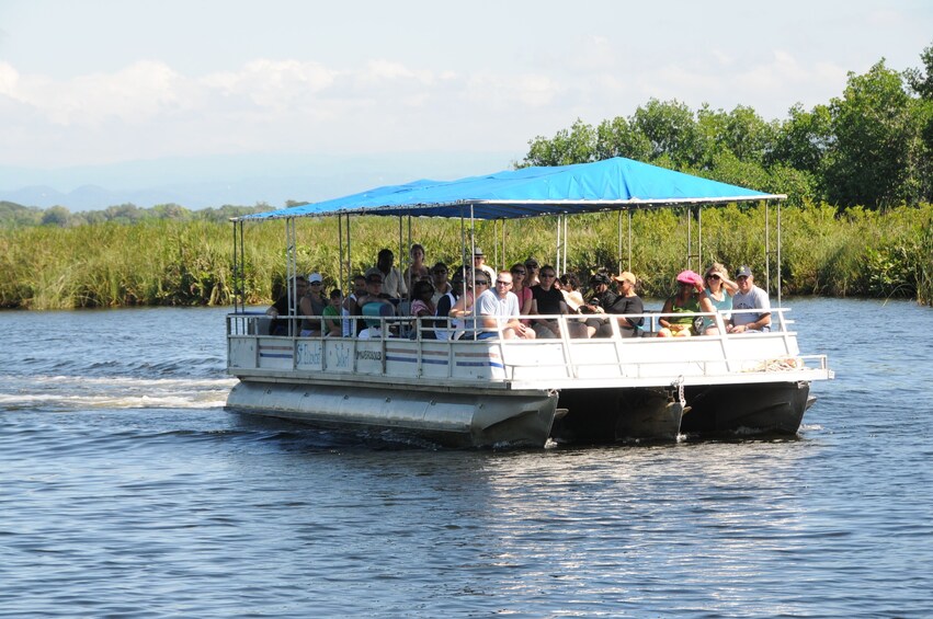 Black River Safari Cruise & YS Falls