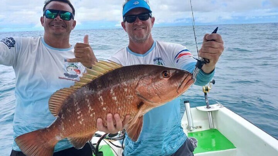 Enjoy an Excellent Half Day Fishing 6 Hours