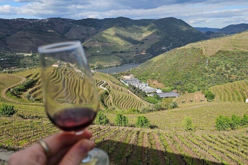 Douro Valley Wine Tour: Views & River Cruise – Small Group Tour