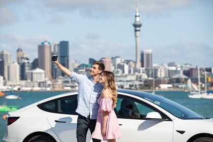 Go Guided Auckland City Tour (4 - 11 People)