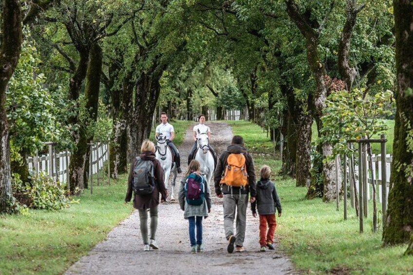 Family-day-trip-to-Lipica-stud-farm-from-Ljubljana