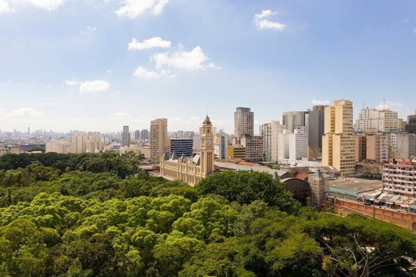 Jewish History São Paulo Downtown Private Walking Tour